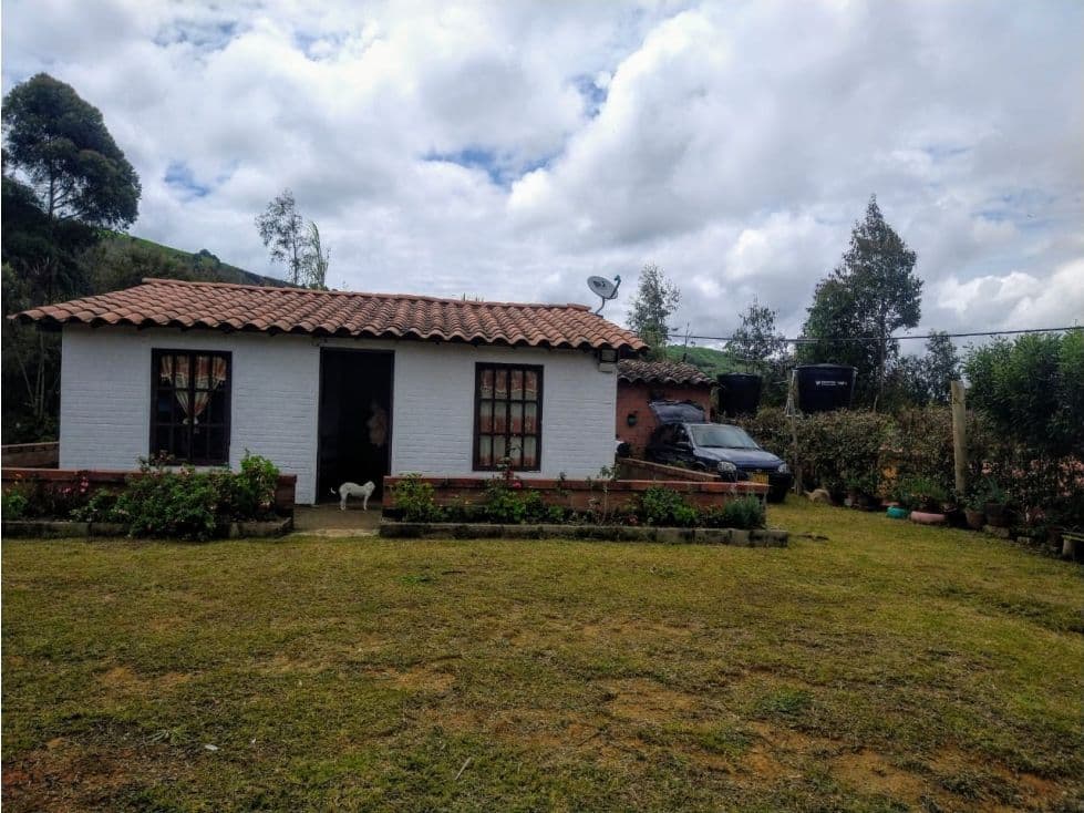 Belmira