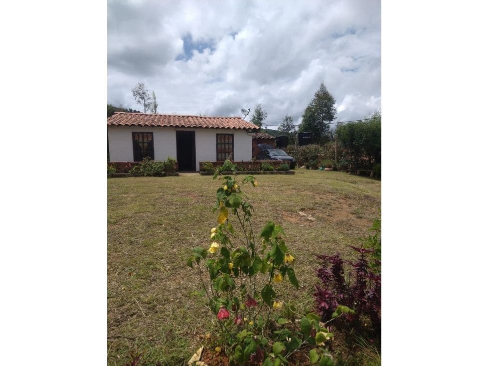 Belmira