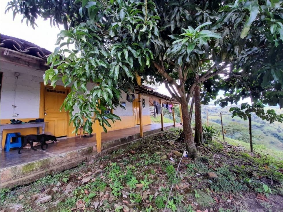 Vereda la Loma, Armenia Mantequilla, Antioquia