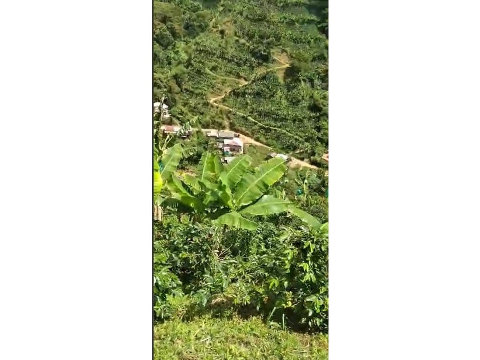 Andes