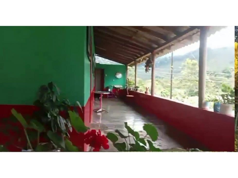 Andes