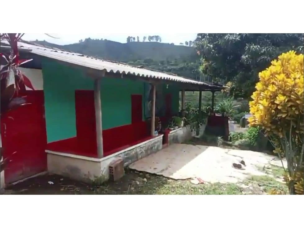 Andes
