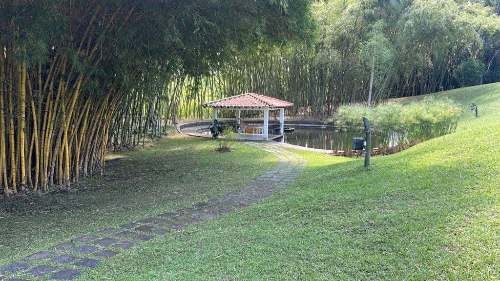 Via Cafelia Pereira Risaralda
