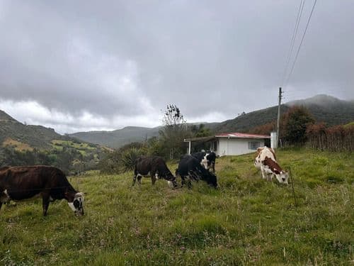 Finca la Esperanza - Chocontá