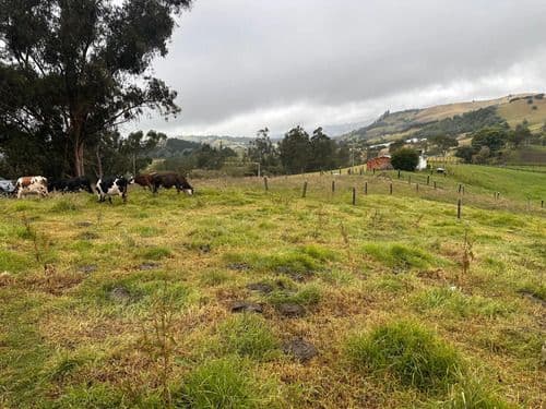 Finca la Esperanza - Chocontá