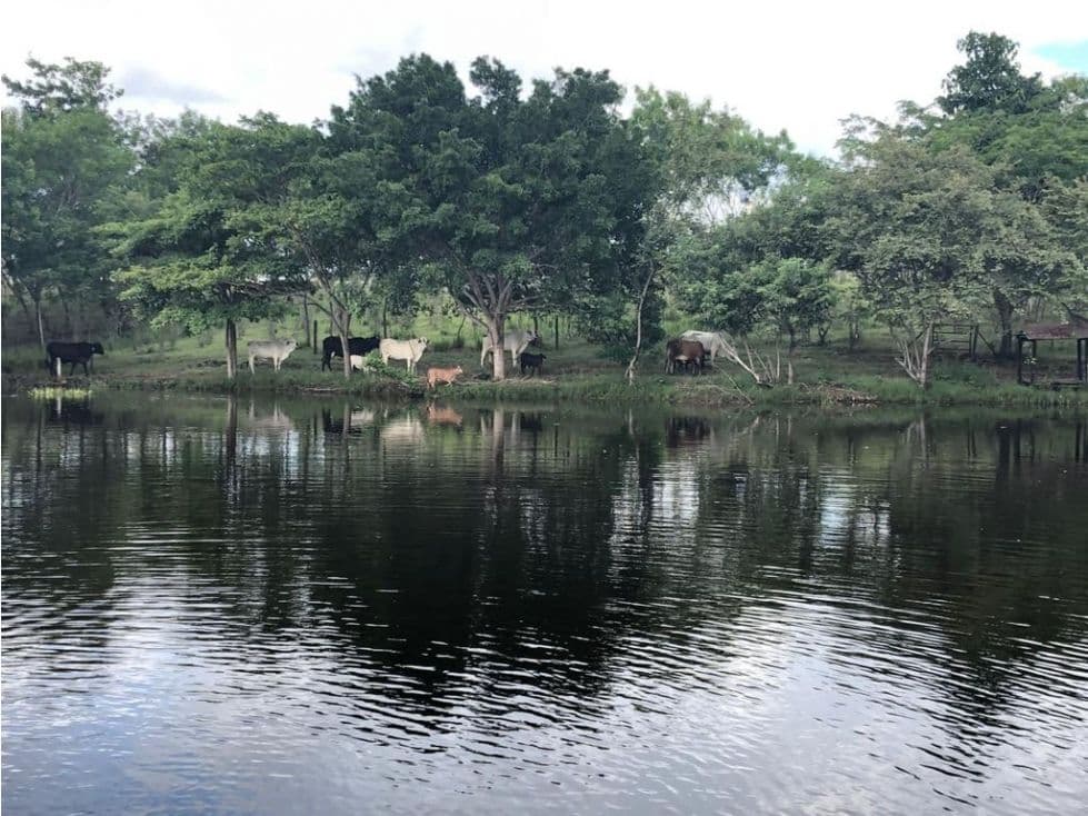 Vereda Hatico - Alvarado Tolima