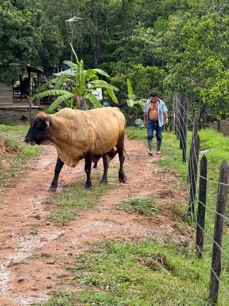 Vereda Buenavista