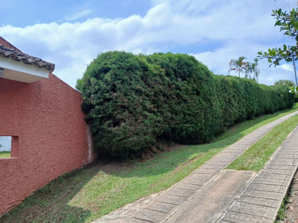 Condominio Campestre el Bosque Km 30