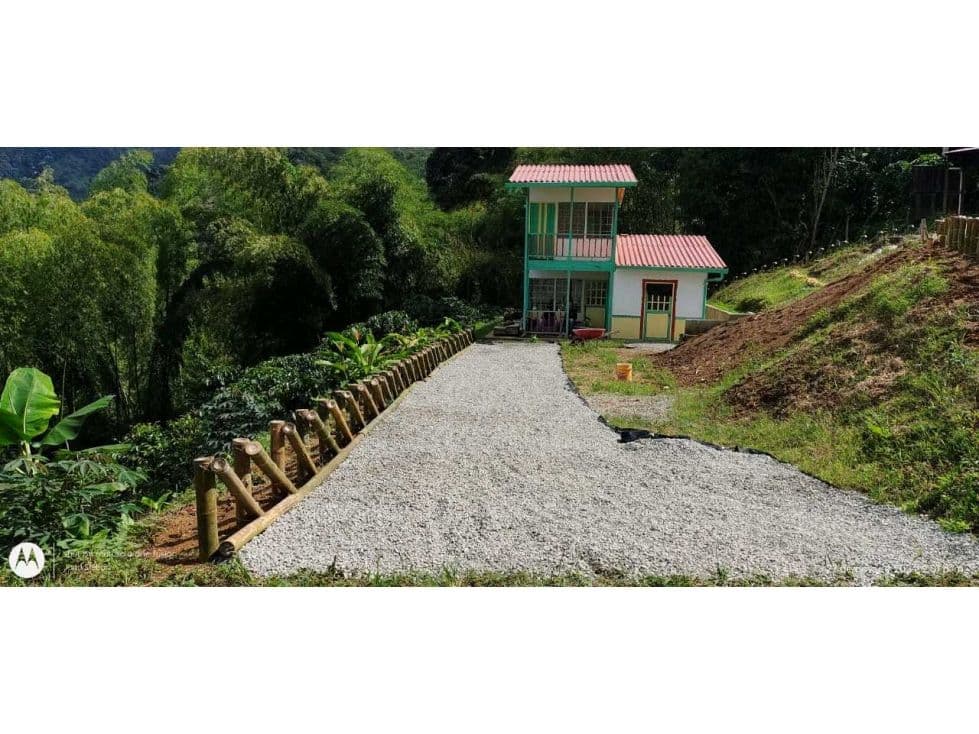 Finca Buenavista