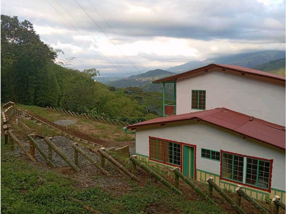 Finca Buenavista