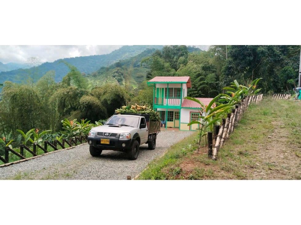Finca Buenavista