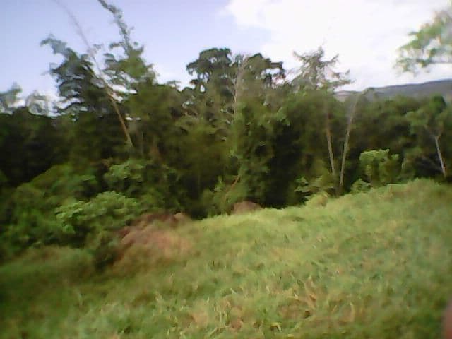Vereda Parroquia Vieja