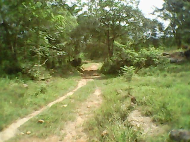 Vereda Parroquia Vieja