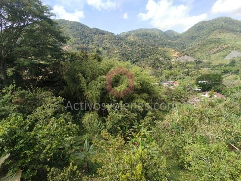 Casa Finca la Gorobeta en el 2 . Cisneros