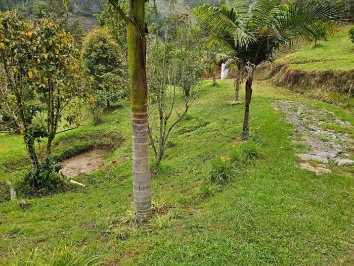 Abejorral, Antioquia, Colombia