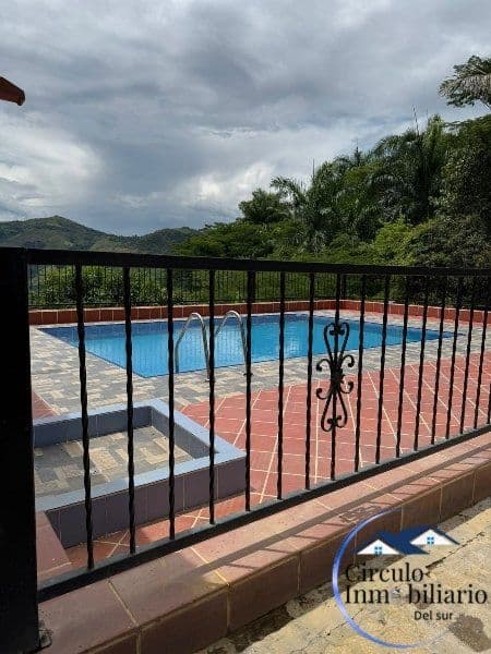 Lote 19