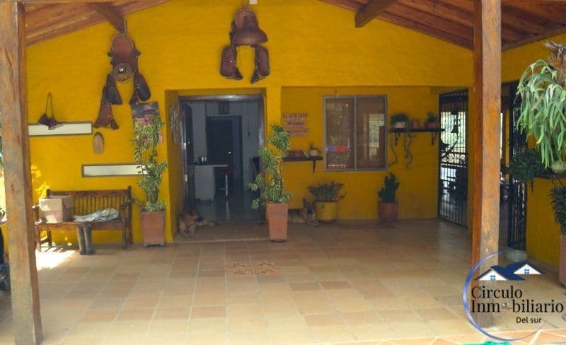 Lote 19