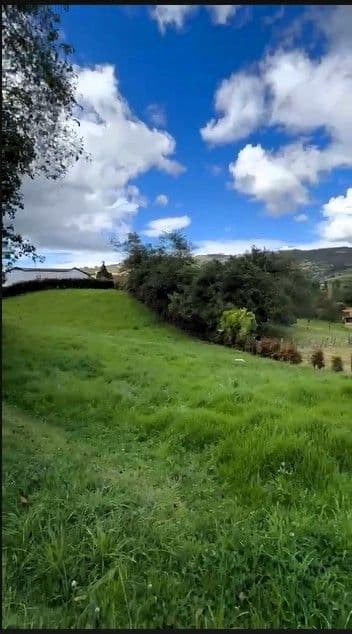 Santa Rosa de Viterbo