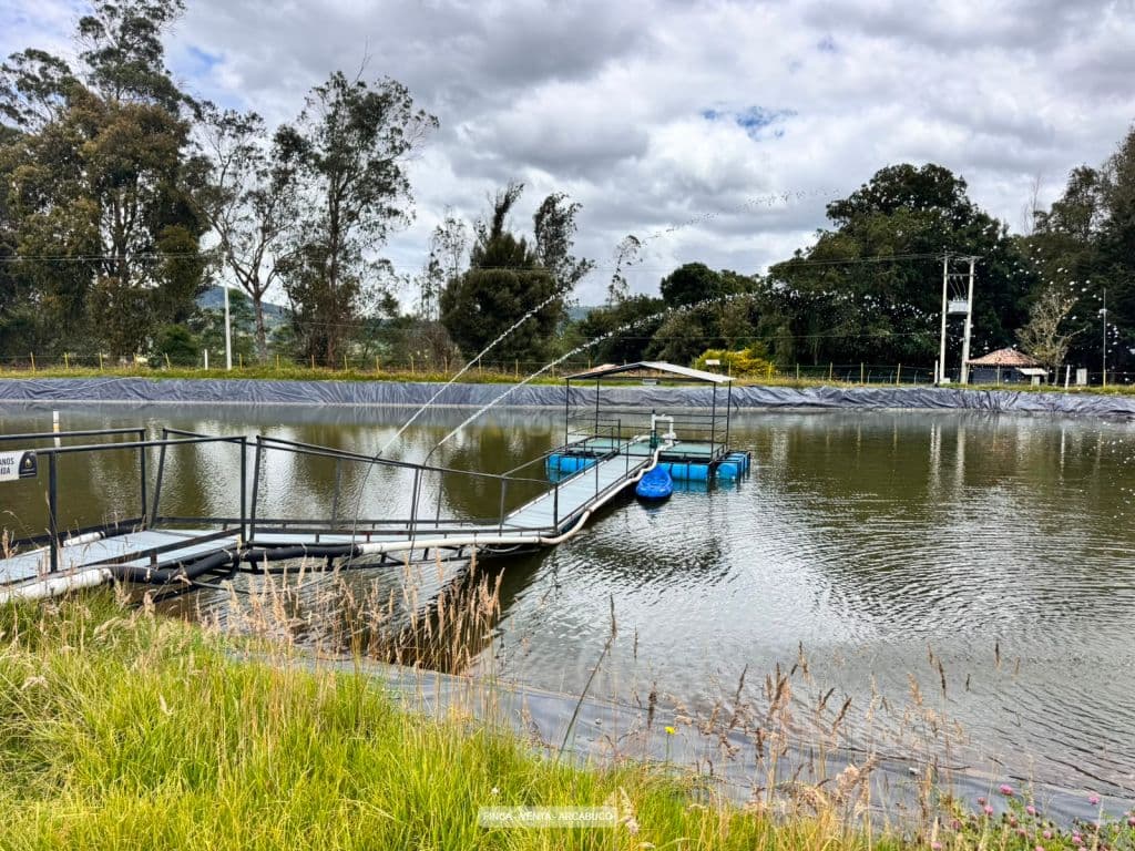 Vereda Monte Suarez