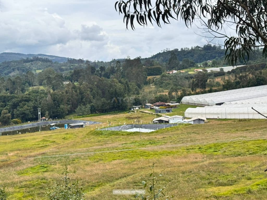 Vereda Monte Suarez