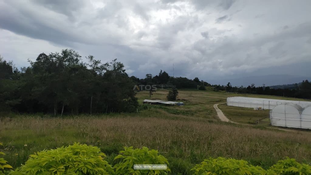 Vereda Monte Suarez