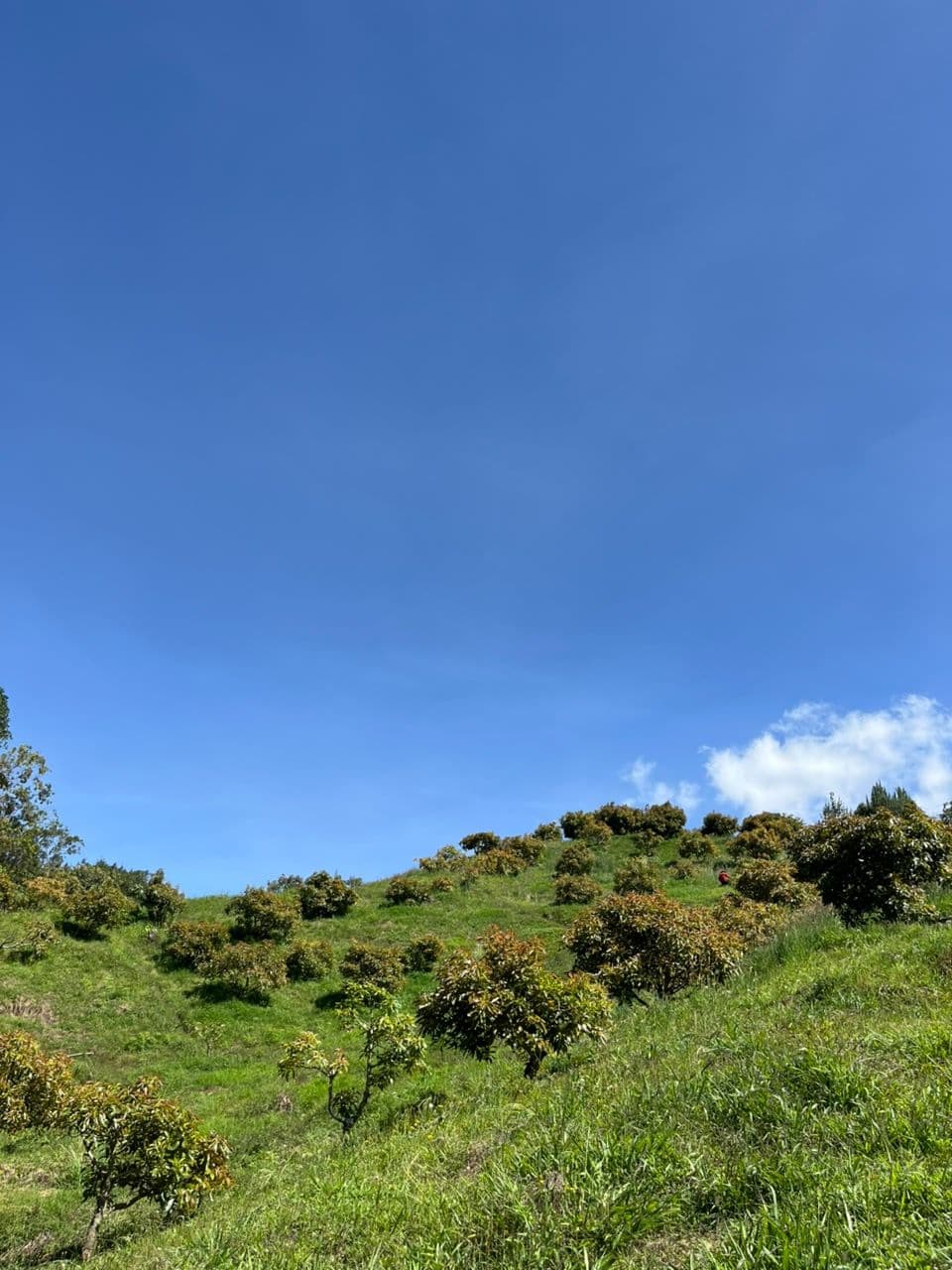 Vereda Piedra Candela