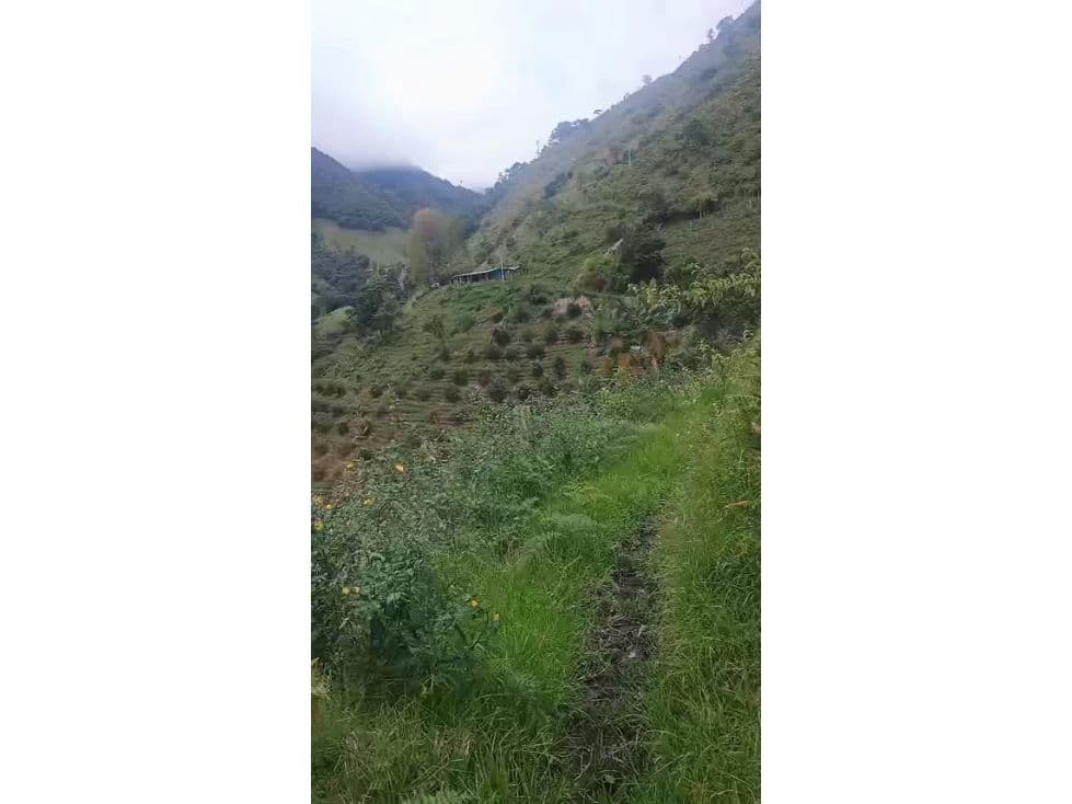 Anaime, Cajamarca, Tolima