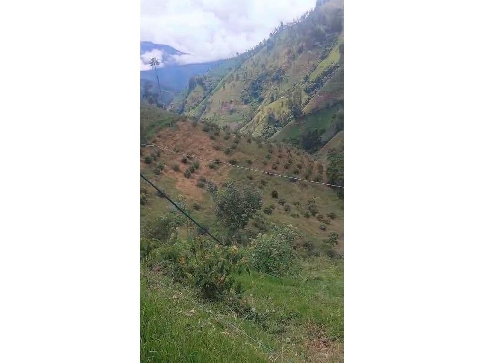 Anaime, Cajamarca, Tolima