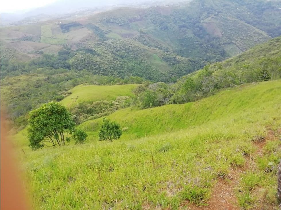 Cerro Alto Km 1