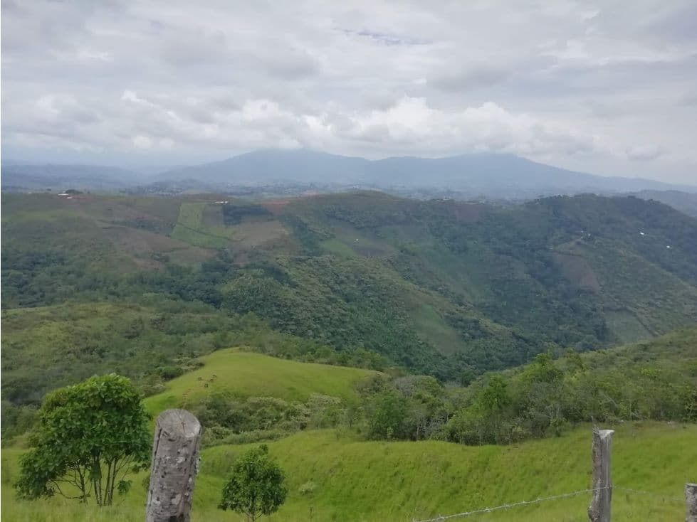Cerro Alto Km 1