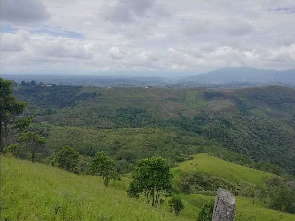 Cerro Alto Km 1