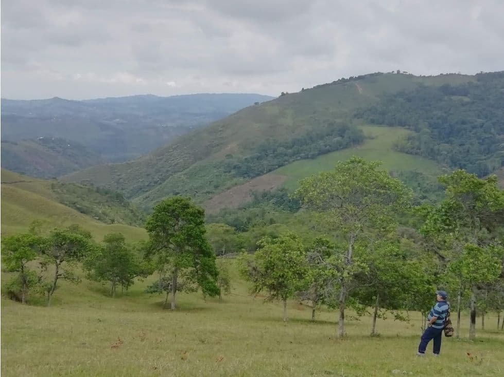 Cerro Alto Km 1