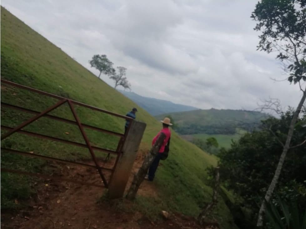 Cerro Alto Km 1