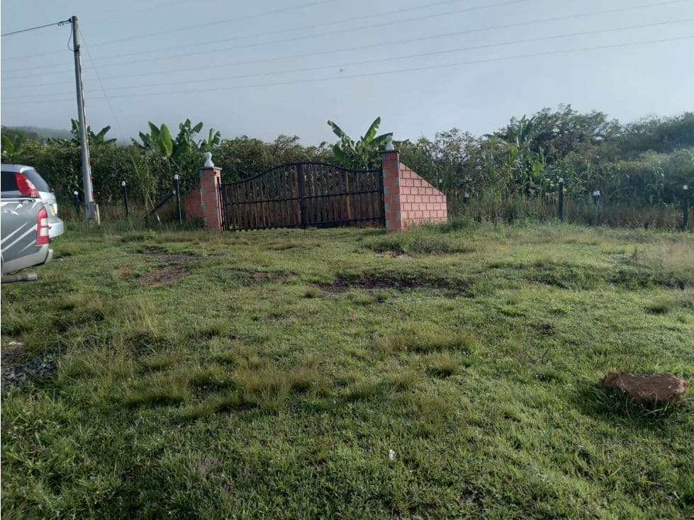Vereda Palo Blanco bajo