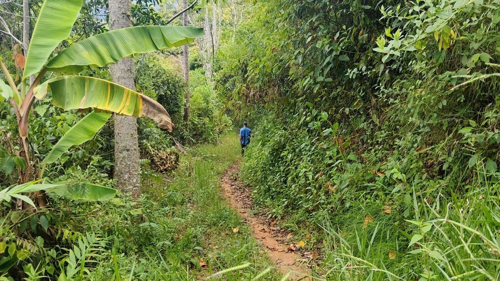 Cdad. Bolivar, Cd Bolívar, Antioquia, Colombia