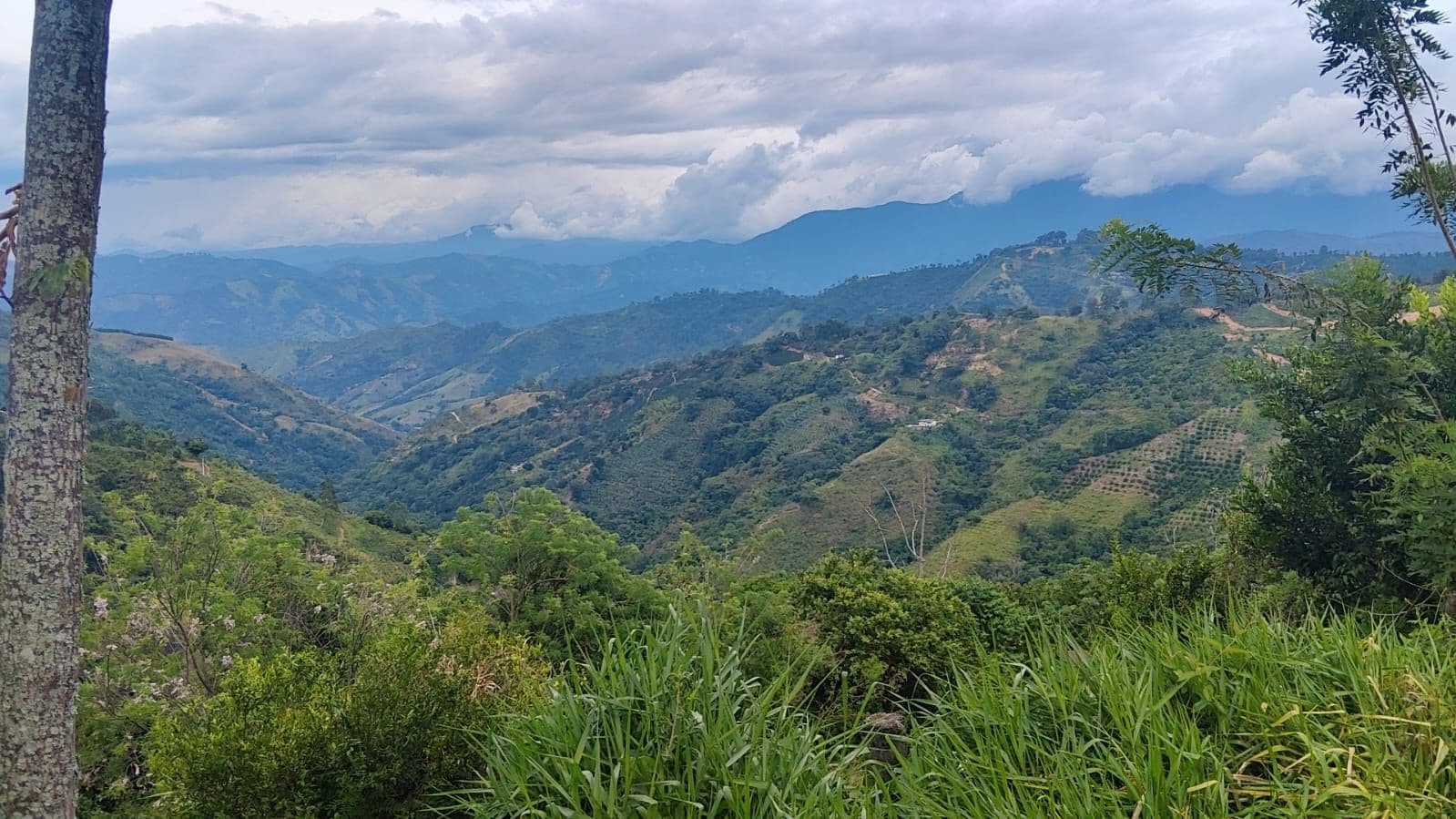 Cdad. Bolivar, Cd Bolívar, Antioquia, Colombia
