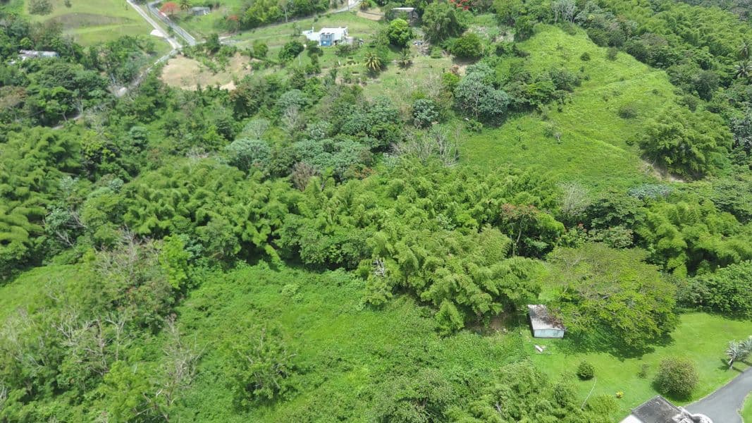 Bo. Calzada, Terreno en Maunabo