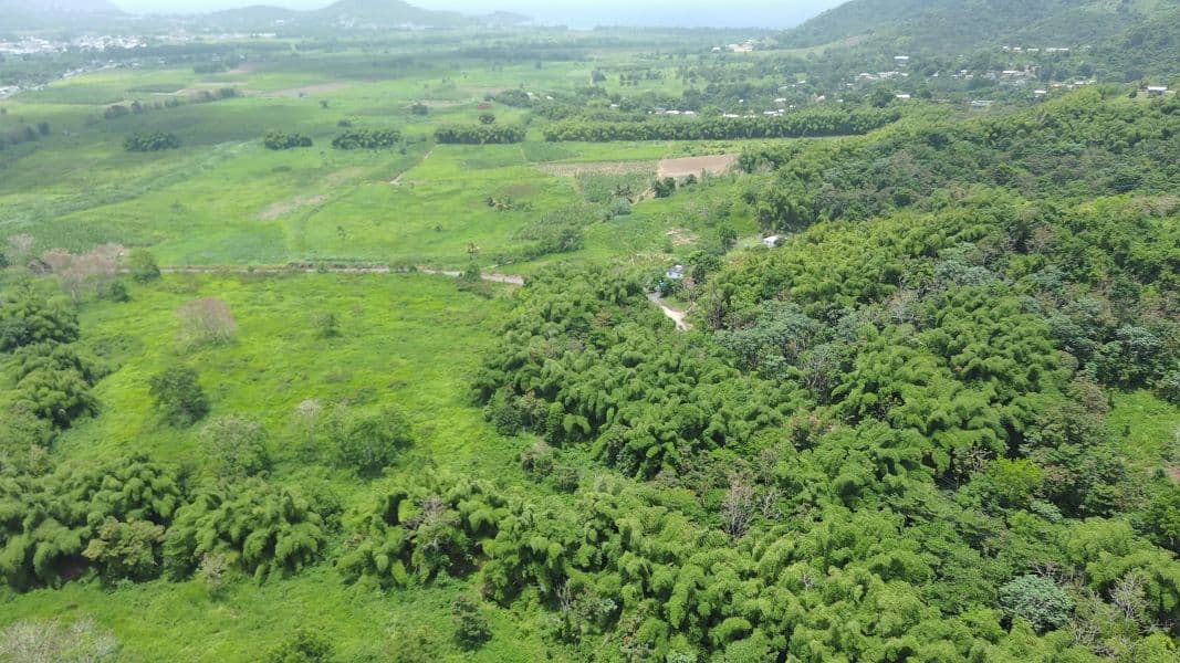 Bo. Calzada, Terreno en Maunabo