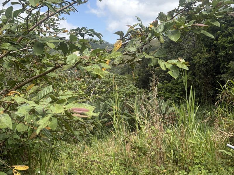 Bo. Quebradillas, Solar en Barranquitas