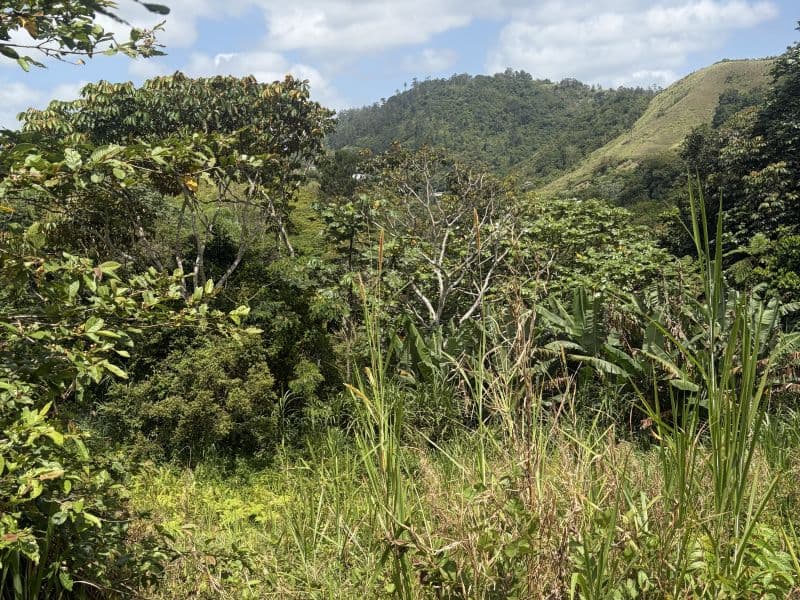 Bo. Quebradillas, Solar en Barranquitas