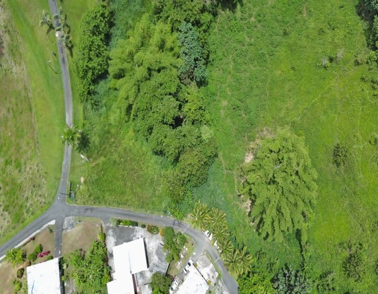Bo. Calzada, Terreno en Maunabo
