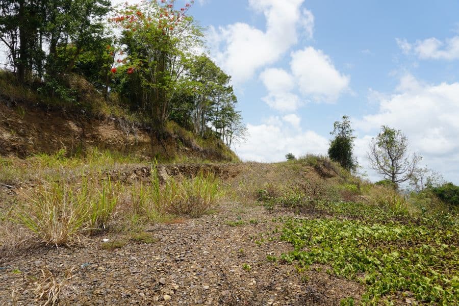 730 CLL DOÑA LOLA, Colinas View (Urbanizacion), Cayey, Puerto Rico 00692