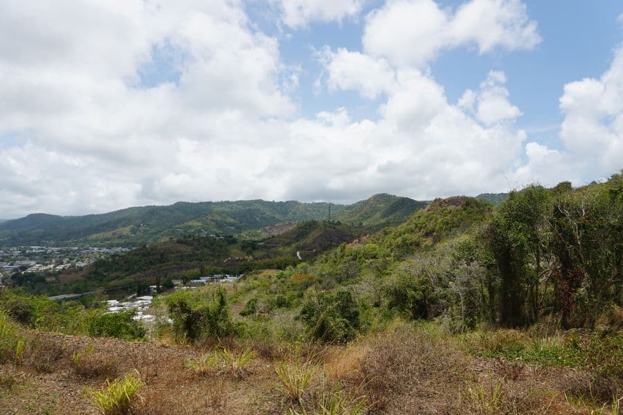 730 CLL DOÑA LOLA, Colinas View (Urbanizacion), Cayey, Puerto Rico 00692