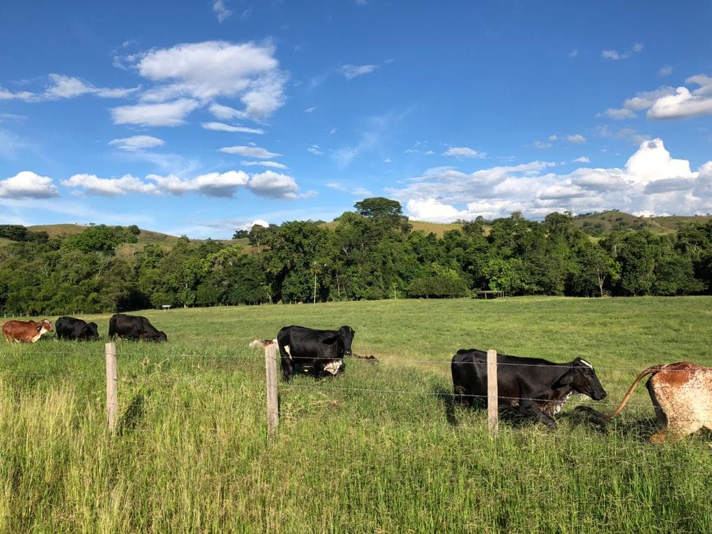 Finca en Venta en Galicia, Bugalagrande