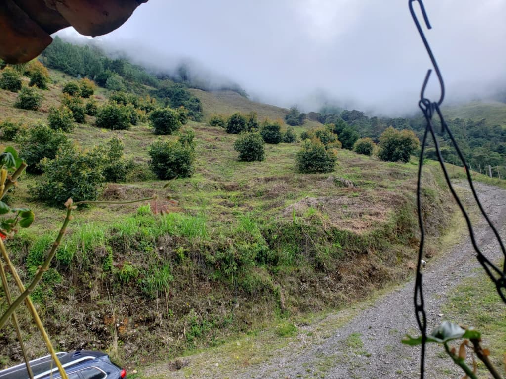 Finca en Venta en Abejorral