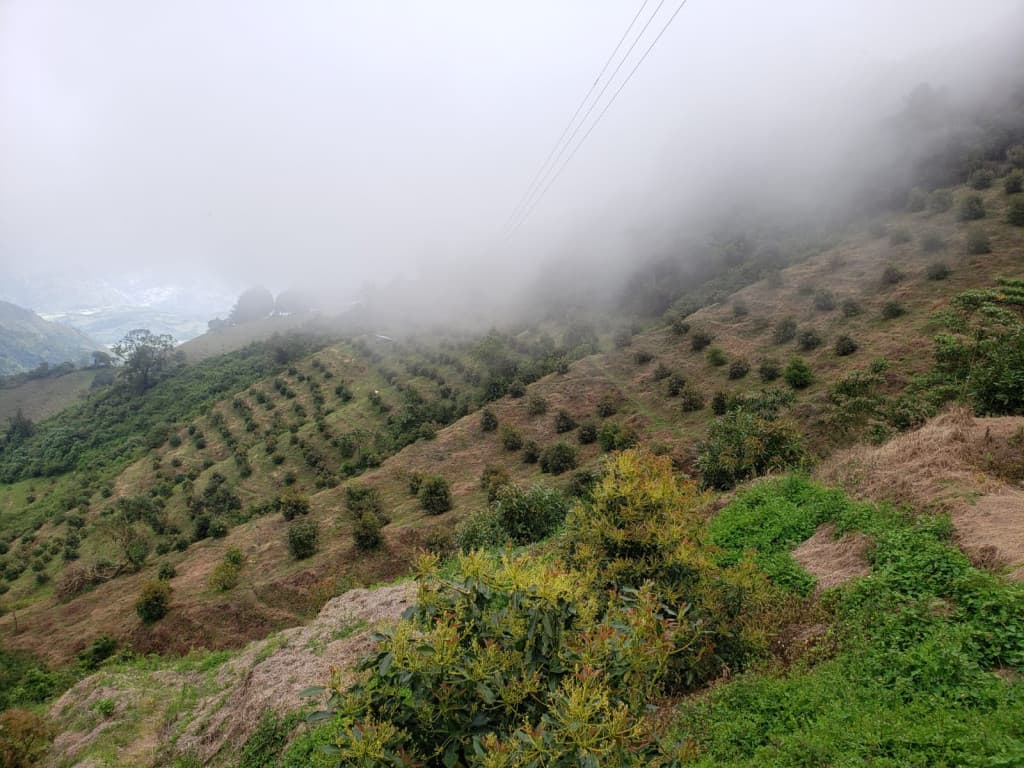 Finca en Venta en Abejorral