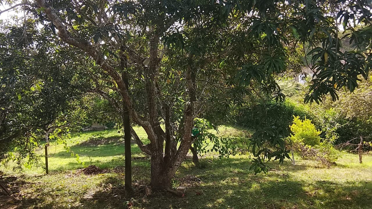 Finca en Venta en Carmen de Apicalá
