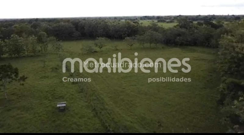 Foto de la propiedad
