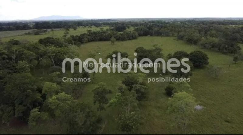 Foto de la propiedad