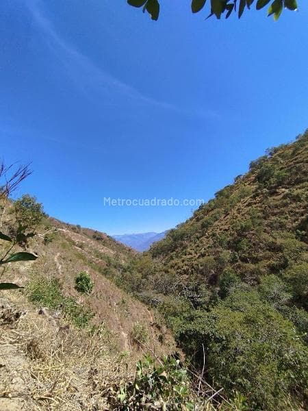 Foto de la propiedad